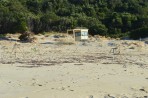 Plage de Marathonisi - Île de Zakynthos Photo 6