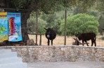 Monastère d'Anafonitria - Île de Zakynthos Photo 5