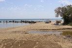 Plage d'Argassi - île de Zakynthos Photo 15