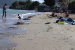 Plage de Porto Koukla - Île de Zakynthos Photo 13