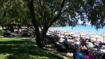 Plage de Porto Zoro - Île de Zakynthos Photo 24