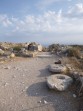 Thira (site archéologique) - île de Santorin Photo 36