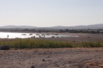 Plage de Plimiri - île de Rhodes Photo 20